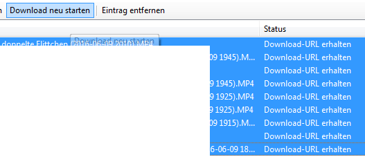 Einige Dateien habe ich markiert, dann klicke ich auf &quot;Download neu starten&quot;.