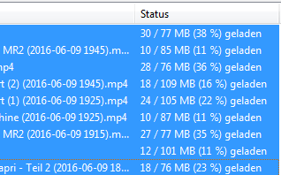 Diese Dateien starten danach, der Downloadfortschritt wird angezeigt.