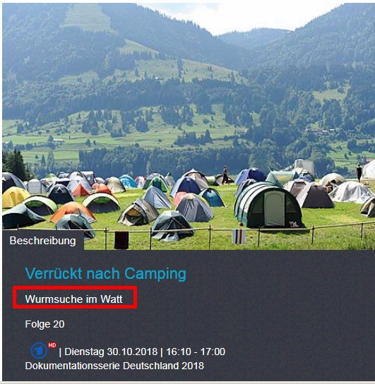 Verrückt nach Camping Wurmsuche im Watt.jpg