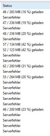 2. Schritt: Serverfehler ansehen im Downloadtab